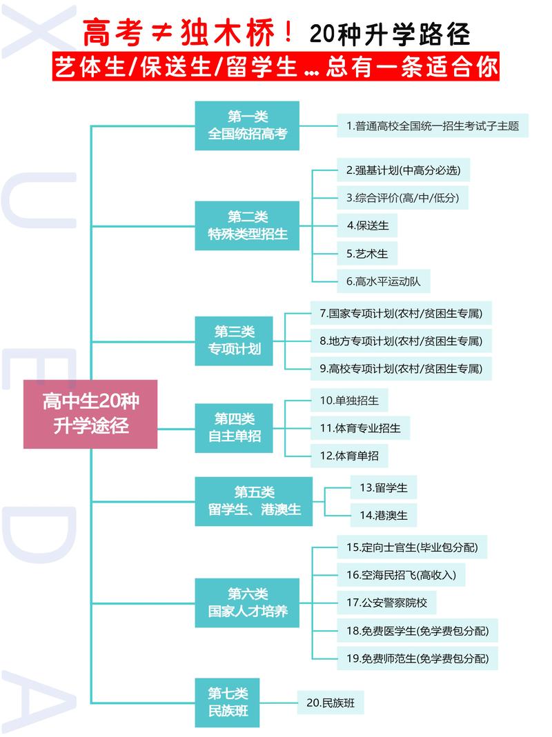 开启孩子学习新篇章:中小学辅导选购指南